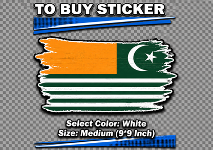 Distressed Azad Jammu and Kashmir Flag Hoodie