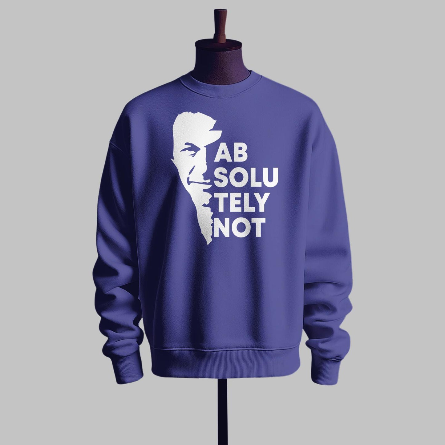 Absolutely Not IK Graphic Sweatshirt